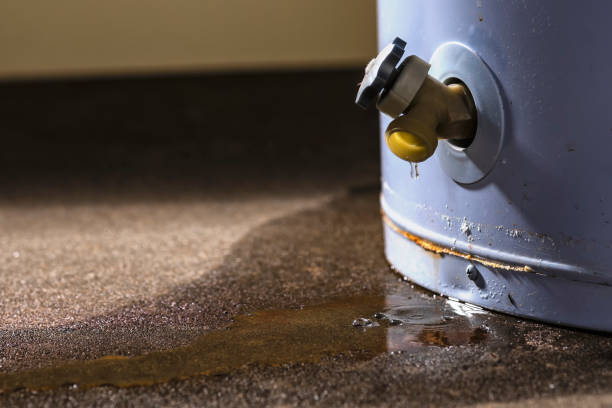 Best Water damage restoration near me  in Hometown, PA