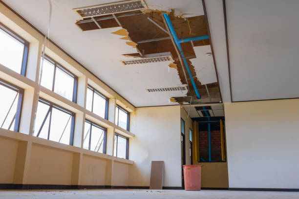 Best Basement water damage restoration  in Hometown, PA