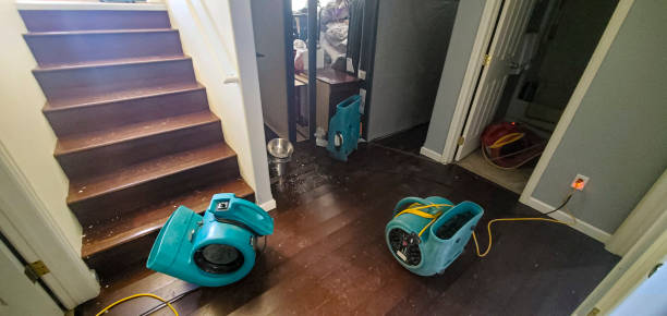 Best Flood restoration services  in Hometown, PA