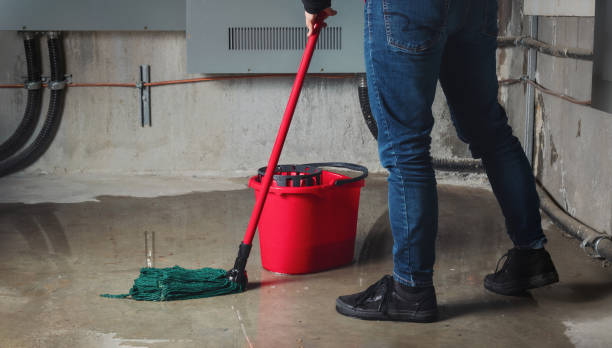 Best Basement water damage restoration  in Hometown, PA