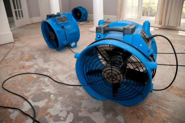 Best Flood damage cleanup  in Hometown, PA