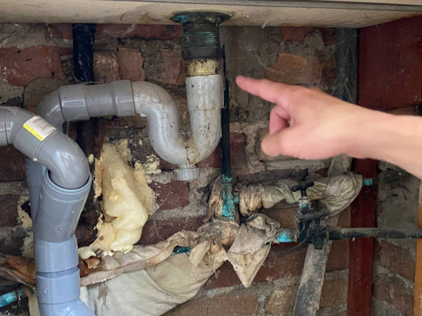 Best Sewage cleanup and water damage restoration  in Hometown, PA