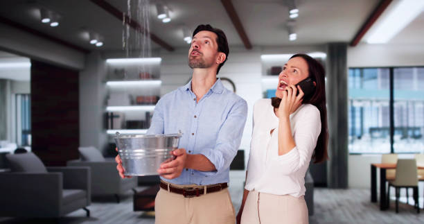 Best Water damage restoration near me  in Hometown, PA